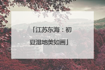 江苏东海：初夏湿地美如画