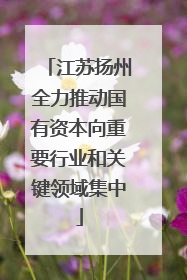 江苏扬州全力推动国有资本向重要行业和关键领域集中