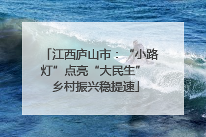 江西庐山市：“小路灯”点亮“大民生” 乡村振兴稳提速