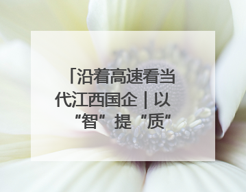 沿着高速看当代江西国企｜以“智”提“质”！贵冶数字化转型迈出新步伐