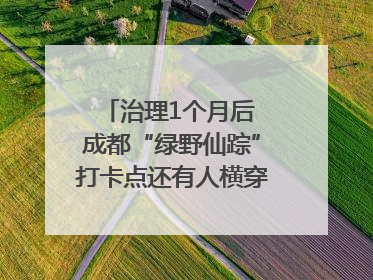 治理1个月后 成都“绿野仙踪”打卡点还有人横穿马路去拍照吗？｜民情瞭望