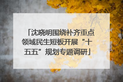 沈晓明围绕补齐重点领域民生短板开展“十五五”规划专题调研