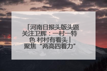 河南日报头版头题关注卫辉：一村一特色 村村有看头 ︳聚焦“两高四着力”·一“县”观察