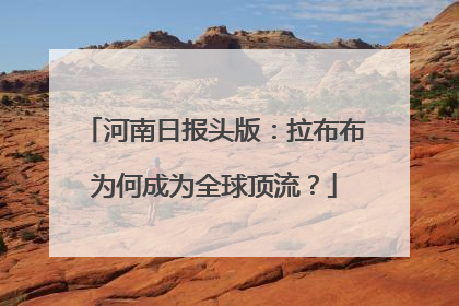 河南日报头版：拉布布为何成为全球顶流？