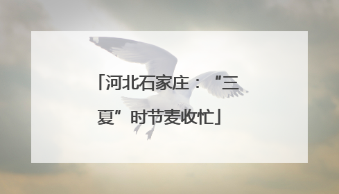 河北石家庄：“三夏”时节麦收忙