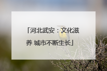 河北武安：文化滋养 城市不断生长