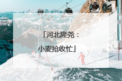 河北隆尧：小麦抢收忙