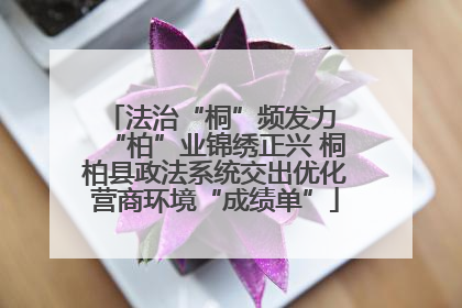 法治“桐”频发力 “柏”业锦绣正兴 桐柏县政法系统交出优化营商环境“成绩单”