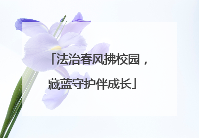 法治春风拂校园，藏蓝守护伴成长