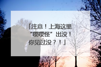 注意！上海这里“嘤嘤怪”出没！你见过没？！