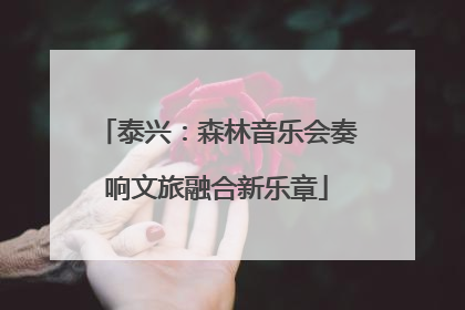 泰兴：森林音乐会奏响文旅融合新乐章