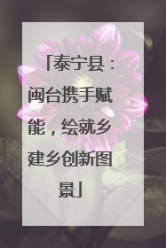 泰宁县：闽台携手赋能，绘就乡建乡创新图景