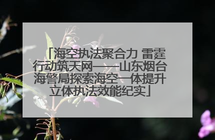 海空执法聚合力 雷霆行动筑天网——山东烟台海警局探索海空一体提升立体执法效能纪实