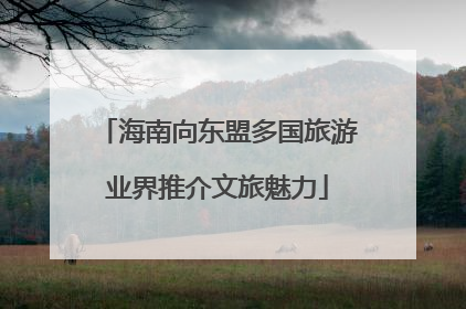 海南向东盟多国旅游业界推介文旅魅力