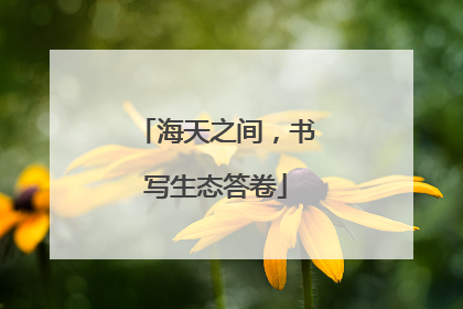 海天之间，书写生态答卷