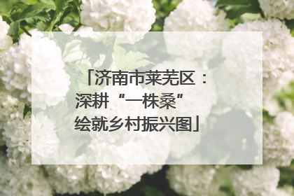 济南市莱芜区：深耕“一株桑” 绘就乡村振兴图