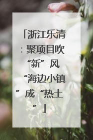 浙江乐清：聚项目吹“新”风 “海边小镇”成“热土”