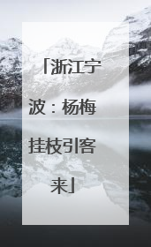 浙江宁波：杨梅挂枝引客来