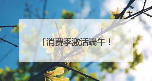 消费季激活端午！德兴电子市场上演“爆买模式”（图）