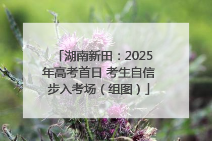 湖南新田：2025年高考首日 考生自信步入考场（组图）