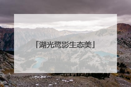 湖光鹭影生态美