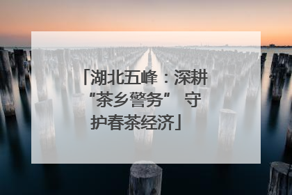 湖北五峰：深耕“茶乡警务” 守护春茶经济