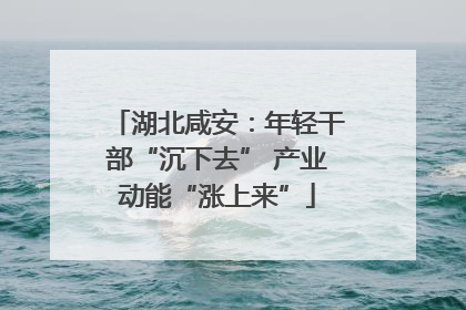 湖北咸安：年轻干部“沉下去” 产业动能“涨上来”