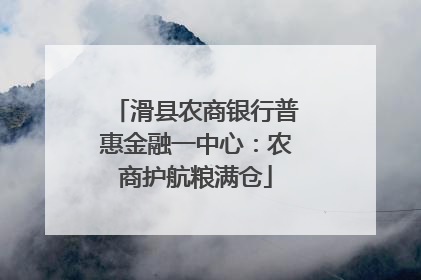 滑县农商银行普惠金融一中心：农商护航粮满仓