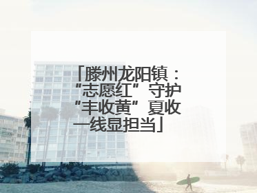 滕州龙阳镇：“志愿红”守护“丰收黄”夏收一线显担当