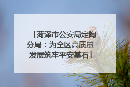 菏泽市公安局定陶分局：为全区高质量发展筑牢平安基石