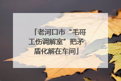 老河口市“毛哥工伤调解室”把矛盾化解在车间