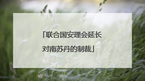 联合国安理会延长对南苏丹的制裁