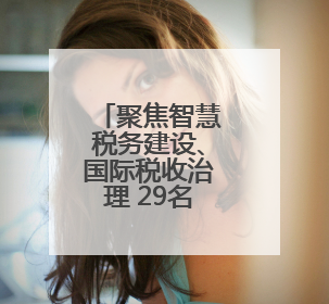聚焦智慧税务建设、国际税收治理 29名非洲财税官湖南取经