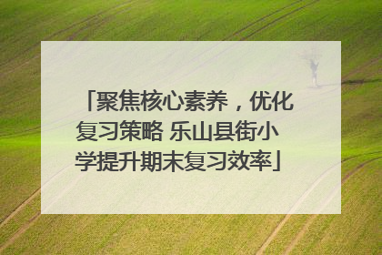 聚焦核心素养，优化复习策略 乐山县街小学提升期末复习效率