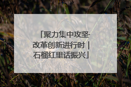 聚力集中攻坚·改革创新进行时｜石榴红里话振兴