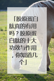 胶原蛋白肽真的有用吗？胶原蛋白肽的十大功效与作用，你知道几个