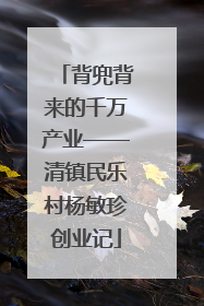 背兜背来的千万产业——清镇民乐村杨敏珍创业记