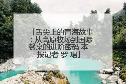 舌尖上的青海故事：从高原牧场到国际餐桌的进阶密码 本报记者 罗 珺