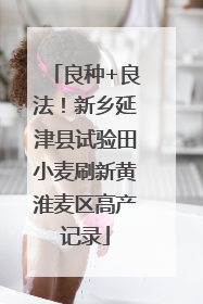 良种+良法！新乡延津县试验田小麦刷新黄淮麦区高产记录