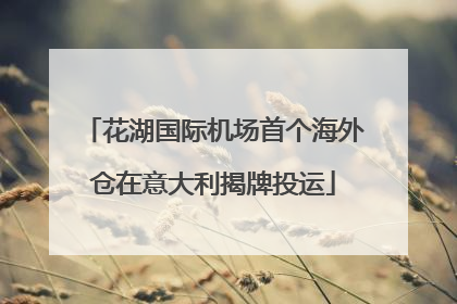 花湖国际机场首个海外仓在意大利揭牌投运