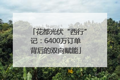 花都光伏“西行”记：6400万订单背后的双向赋能