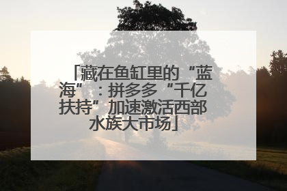 藏在鱼缸里的“蓝海”：拼多多“千亿扶持”加速激活西部水族大市场