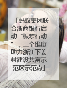 蚂蚁集团联合浙商银行启动“栀梦行动”，三个维度助力浙江下姜村建设共富示范区示范点