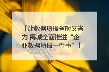 让数据填报省时又省力 禹城全面推进“企业数据填报一件事”