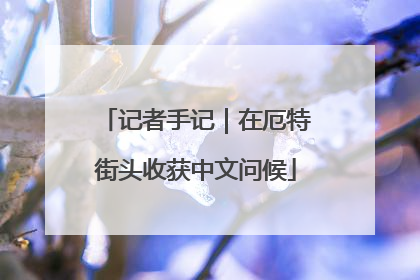 记者手记｜在厄特街头收获中文问候