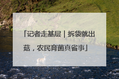 记者走基层｜拆袋就出菇，农民育菌真省事