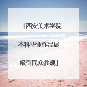 西安美术学院本科毕业作品展吸引民众参观