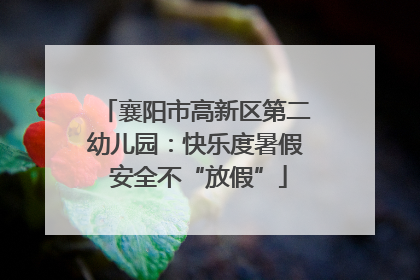 襄阳市高新区第二幼儿园：快乐度暑假 安全不“放假”