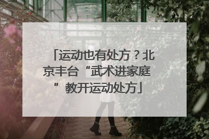 运动也有处方？北京丰台“武术进家庭”教开运动处方