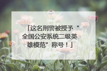 这名刑警被授予“全国公安系统二级英雄模范”称号！